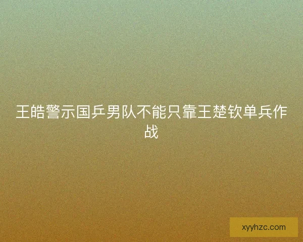 王皓警示国乒男队不能只靠王楚钦单兵作战