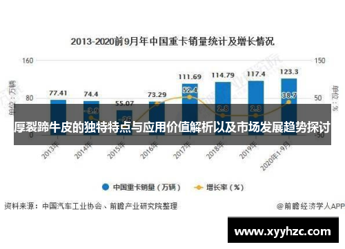 厚裂蹄牛皮的独特特点与应用价值解析以及市场发展趋势探讨