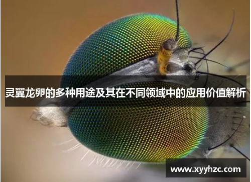 灵翼龙卵的多种用途及其在不同领域中的应用价值解析